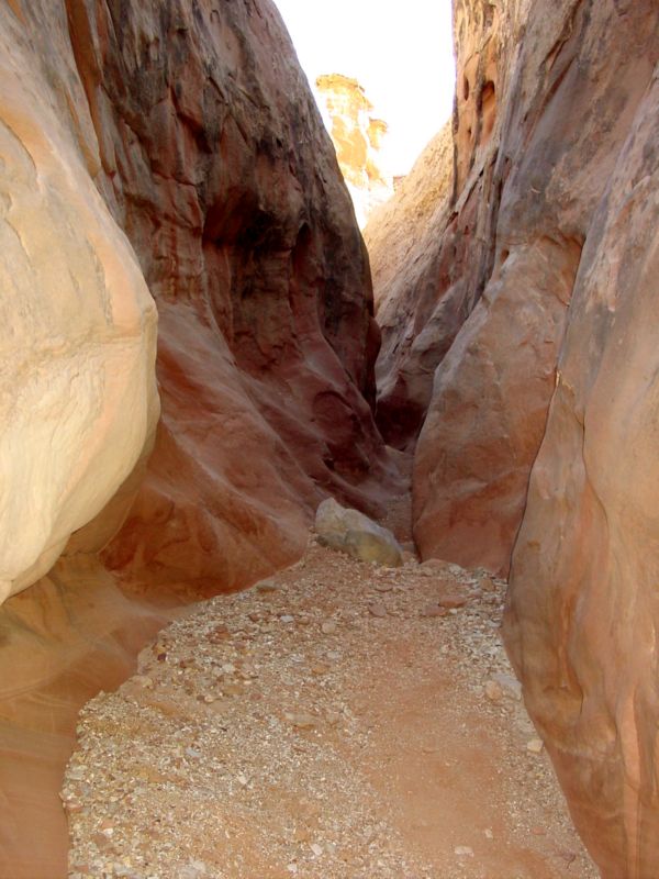 04160302LittleWildHorse (1114)